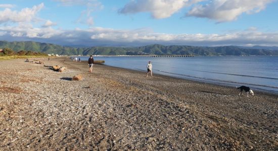 Petone Beach