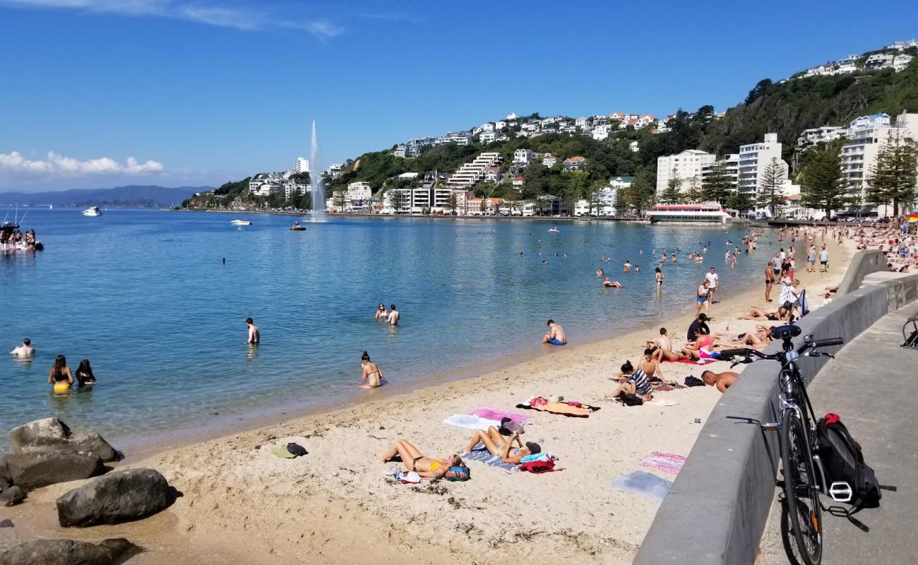 Freyberg Beach'in fotoğrafı parlak kum yüzey ile