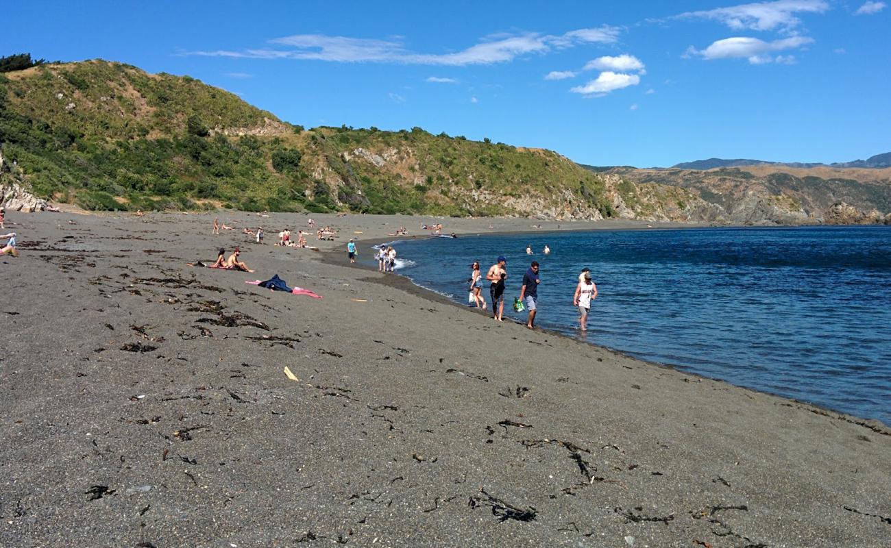 Breaker Bay'in fotoğrafı açık bej kum yüzey ile