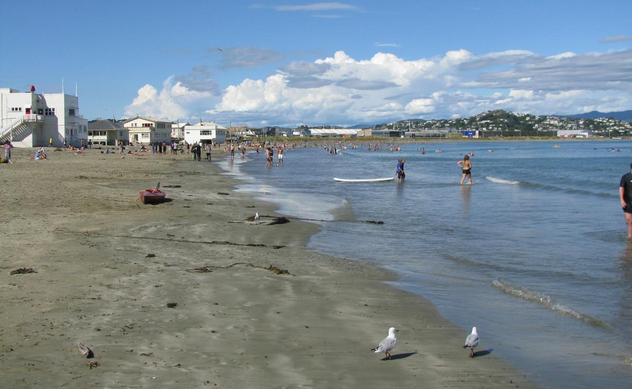 Lyall Bay'in fotoğrafı gri kum yüzey ile