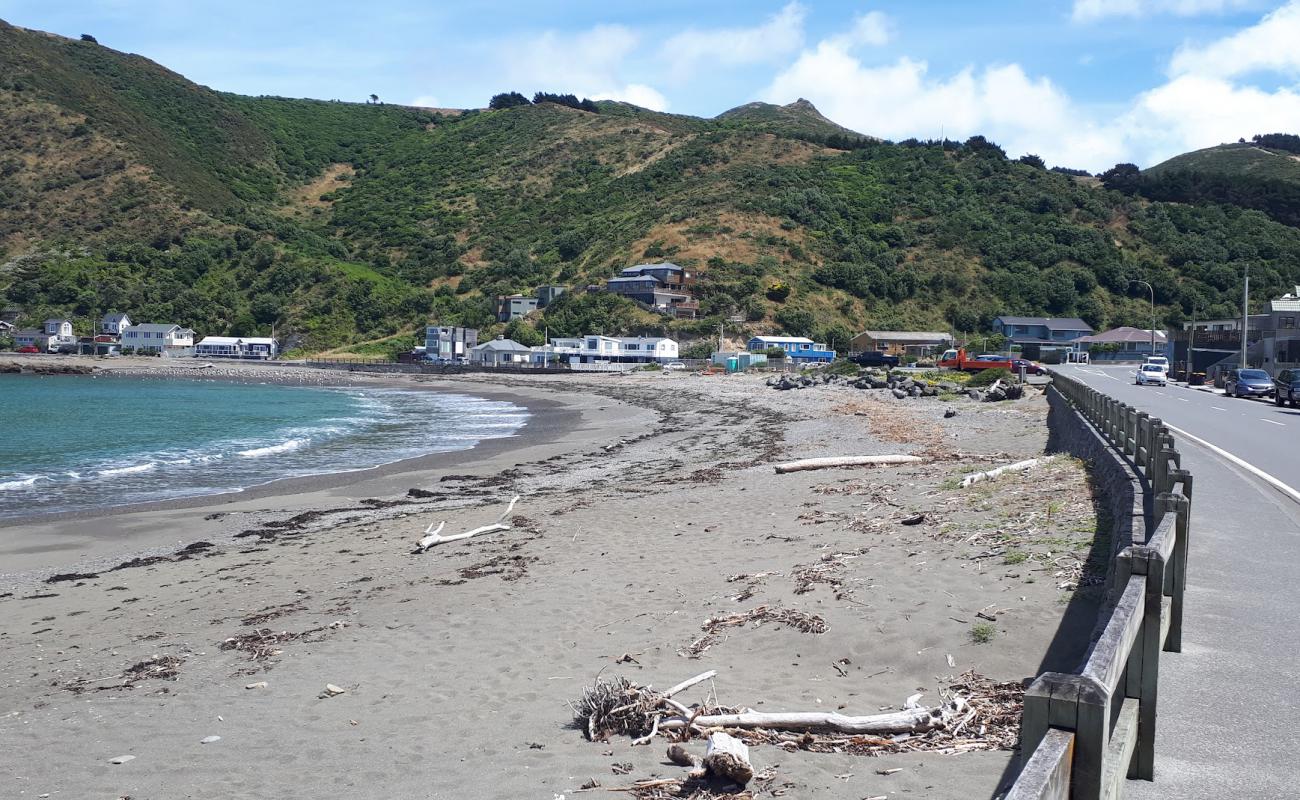 Owhiro Bay Beach'in fotoğrafı gri kum ve çakıllar yüzey ile