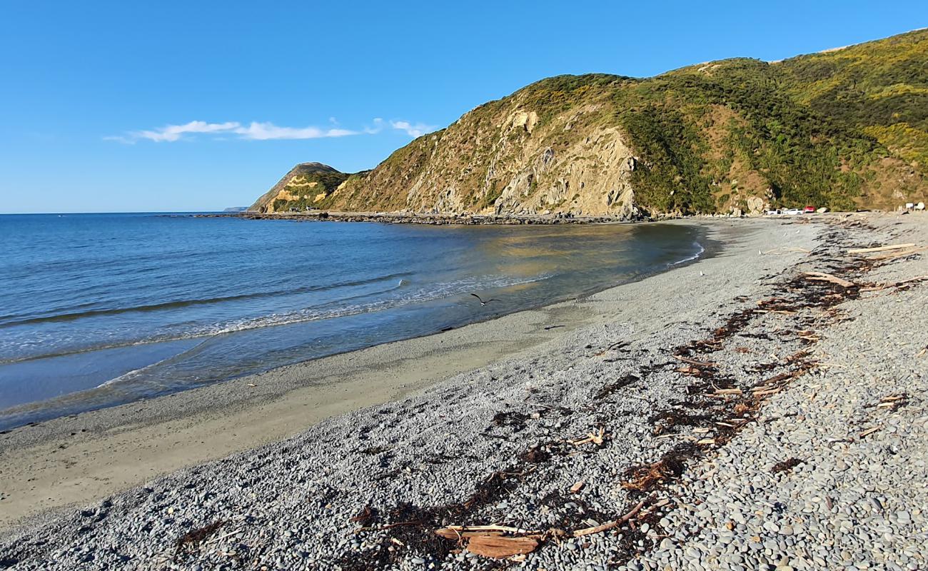 Makara Beach'in fotoğrafı gri çakıl taşı yüzey ile