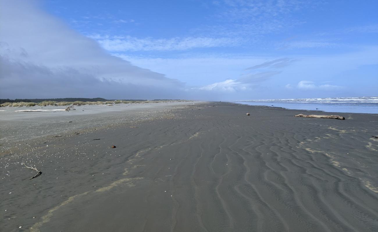 Waikawa Beach'in fotoğrafı gri kum yüzey ile