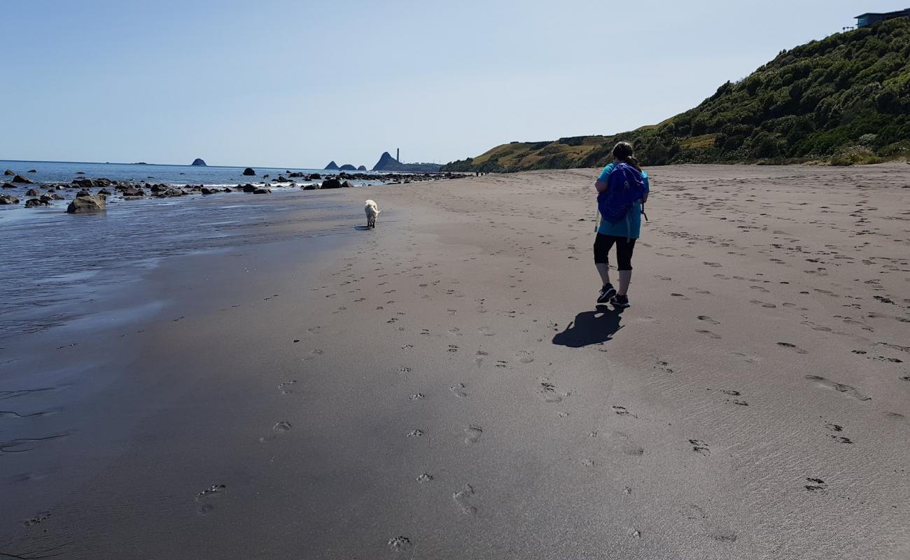 Tapuae Beach'in fotoğrafı gri kum yüzey ile