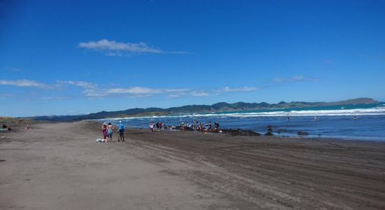 Kawhia Hot Water Beach