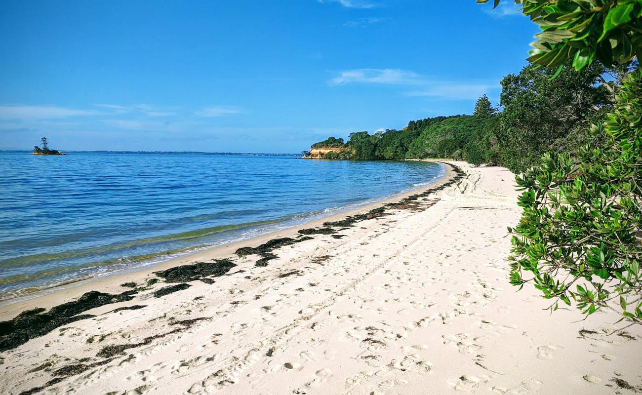 Matakawau Beach'in fotoğrafı parlak kum yüzey ile