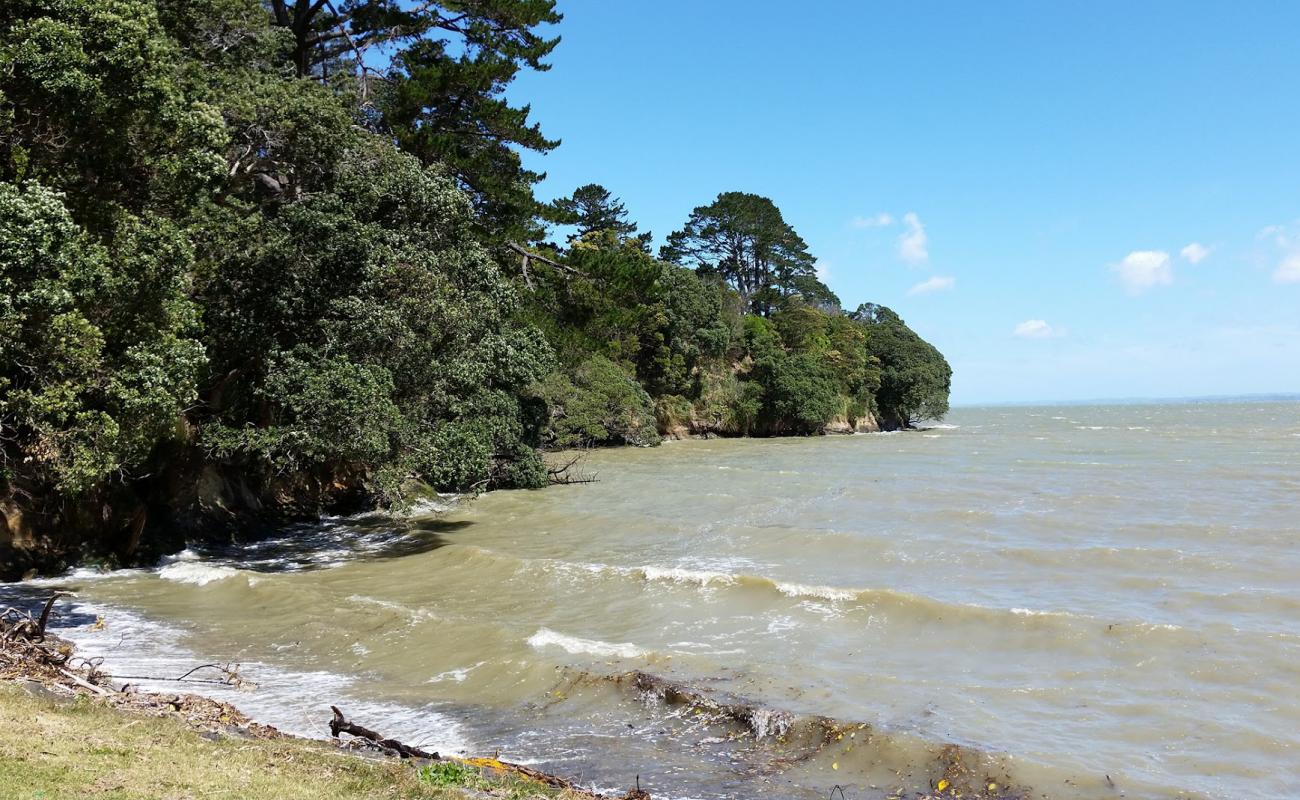 Manukau Beach'in fotoğrafı bej kum ve çakıl yüzey ile