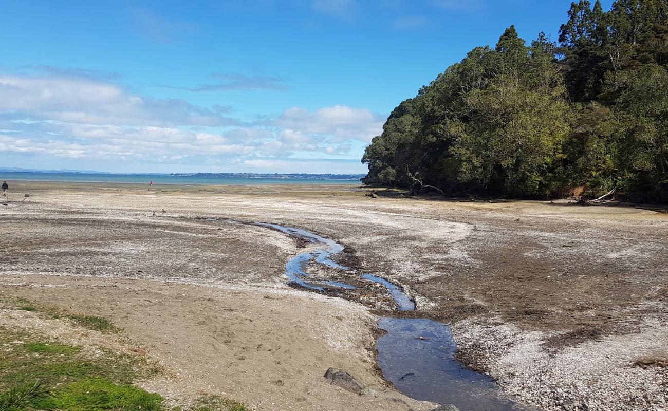 Titirangi Beach'in fotoğrafı bej kum ve çakıl yüzey ile