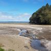 Titirangi Beach