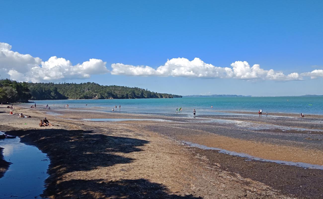 Cornwallis Beach'in fotoğrafı bej kum ve çakıl yüzey ile