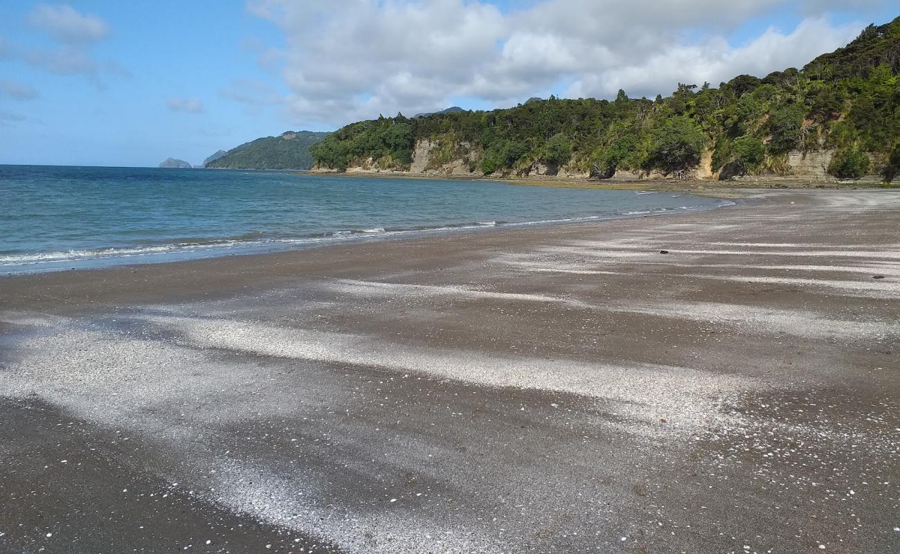 Kaitarakihi Beach'in fotoğrafı gri kum yüzey ile