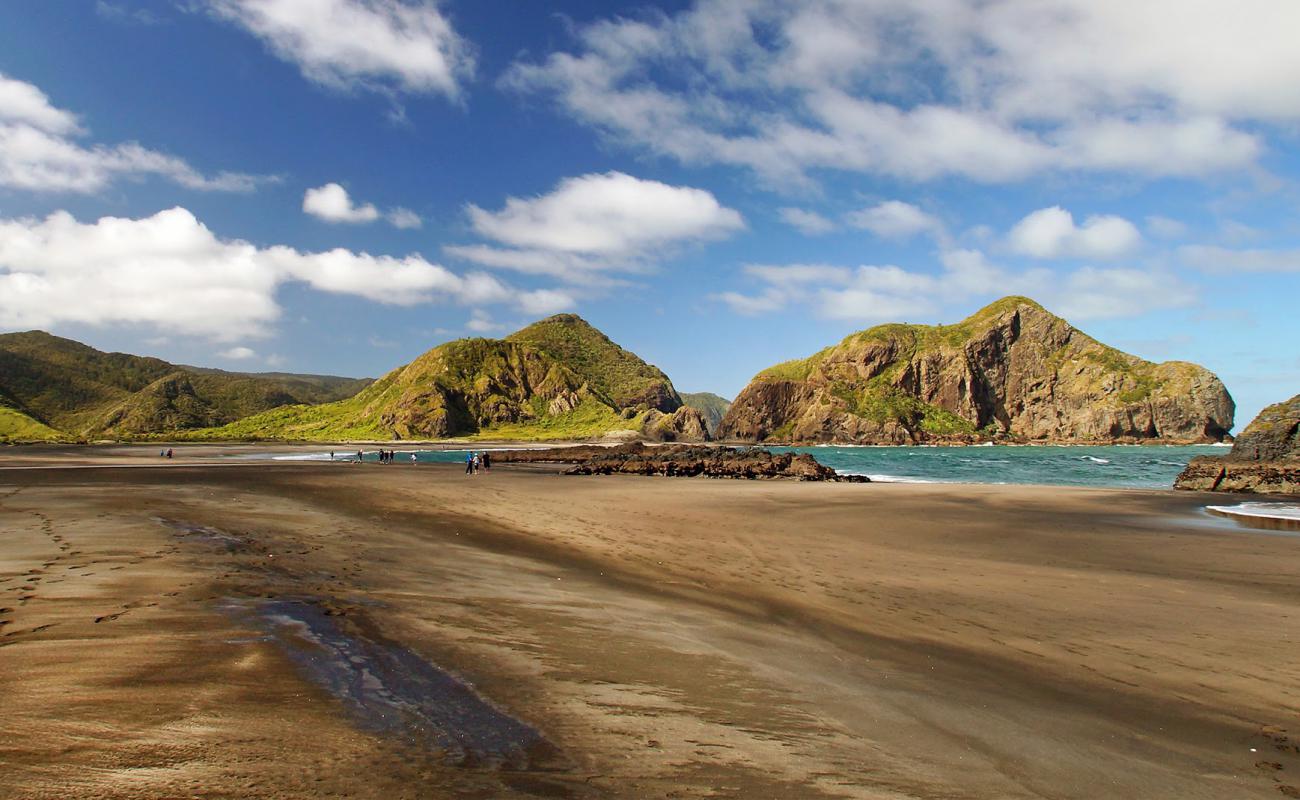 Whatipu Beach'in fotoğrafı gri kum yüzey ile