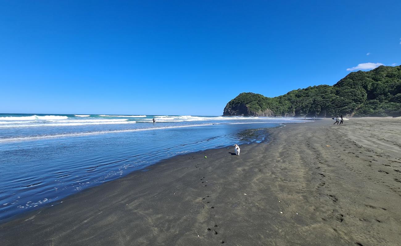 North Piha Beach'in fotoğrafı gri kum yüzey ile