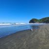 North Piha Beach