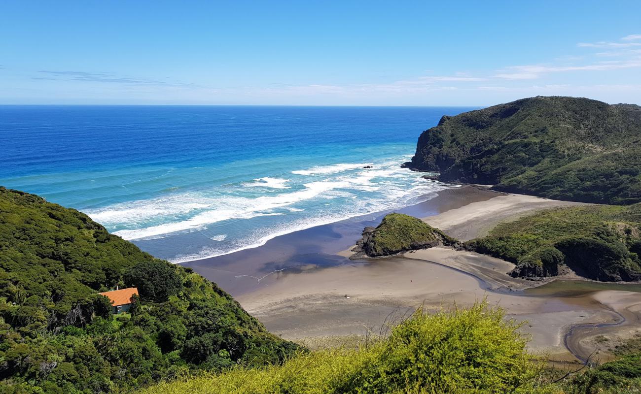 Anawhata Beach'in fotoğrafı i̇nce gri kum yüzey ile