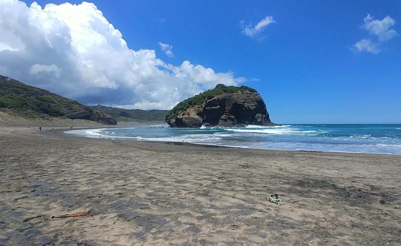 Te Henga Beach'in fotoğrafı parlak ince kum yüzey ile