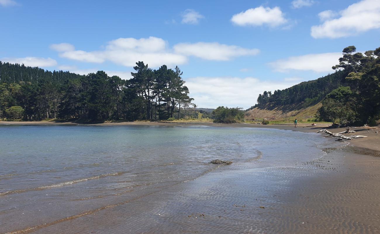 Mosquito Beach'in fotoğrafı gri kum yüzey ile