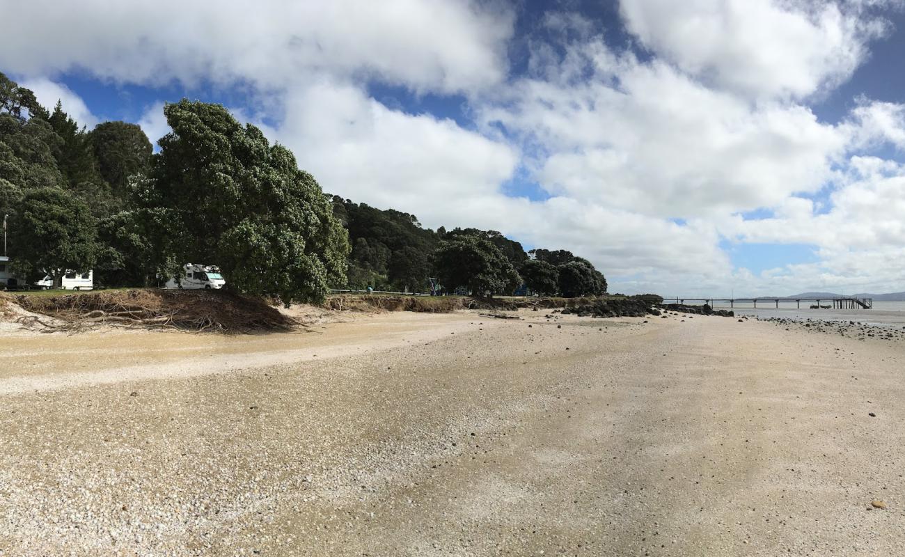 Shelly Beach'in fotoğrafı açık bej kum yüzey ile