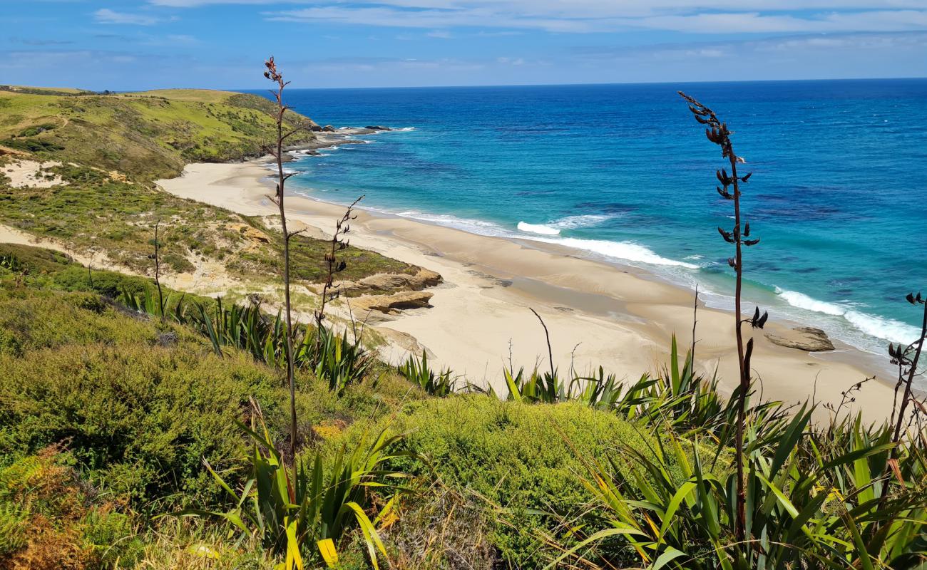 Martin's Beach'in fotoğrafı parlak kum ve kayalar yüzey ile