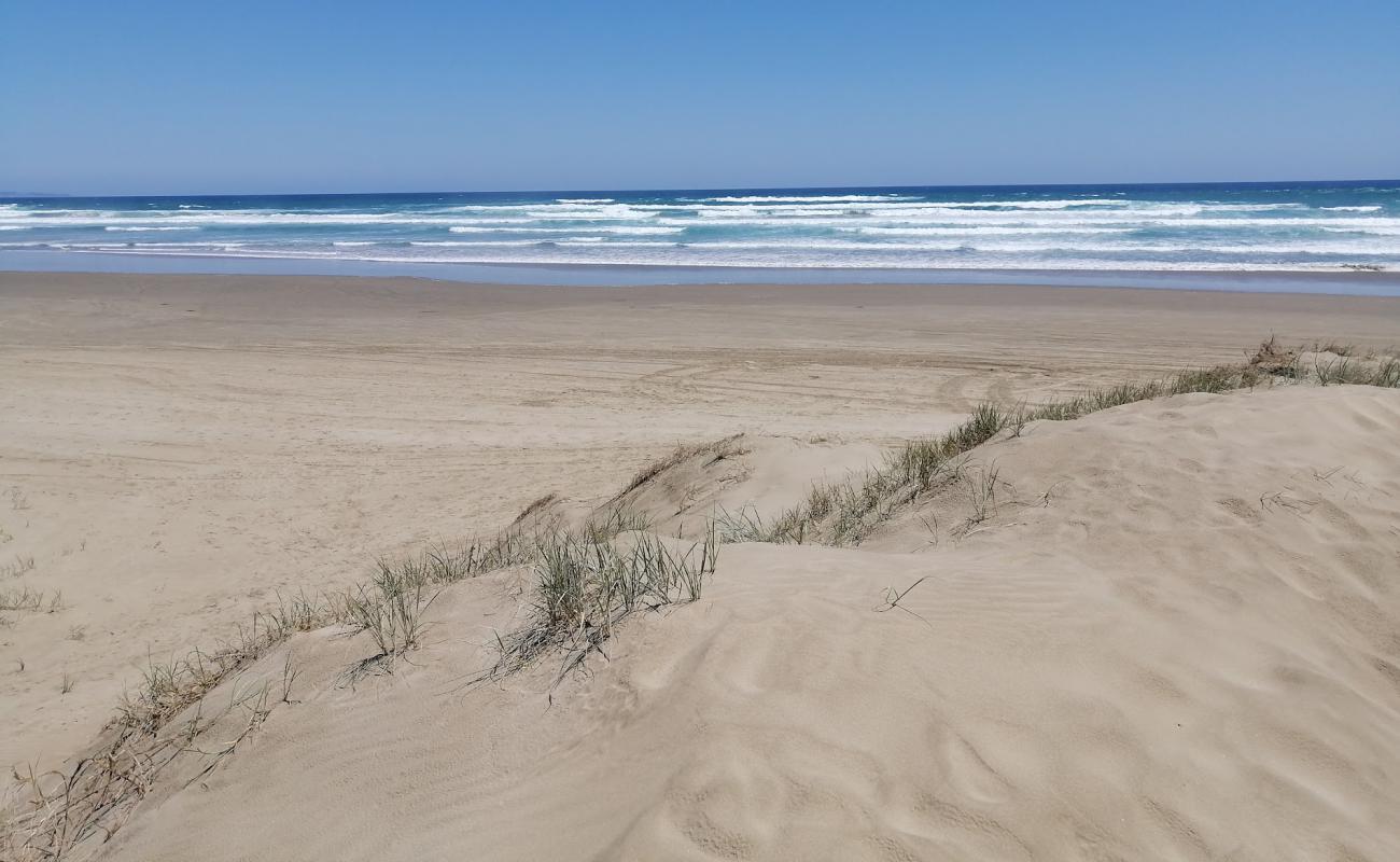 90 Mile Beach'in fotoğrafı i̇nce bej kum yüzey ile