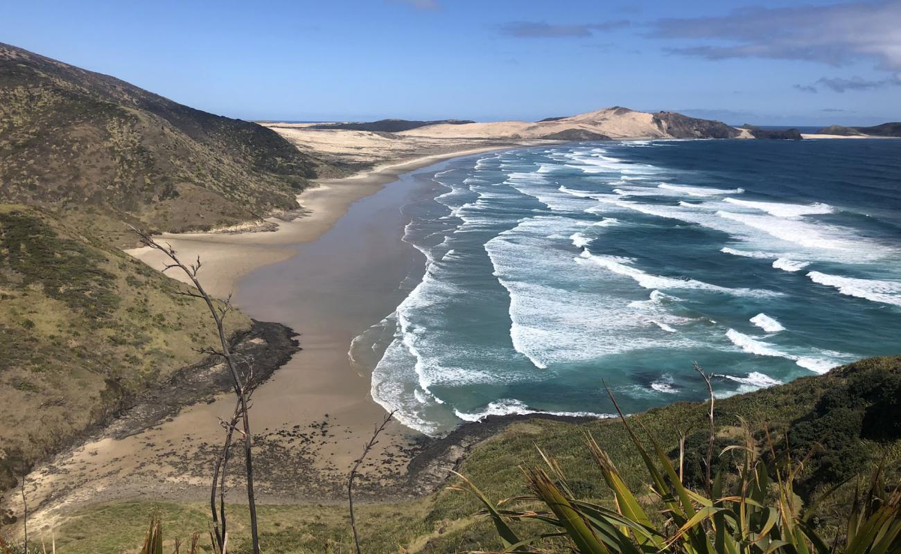 Te Werahi Beach'in fotoğrafı parlak kum yüzey ile