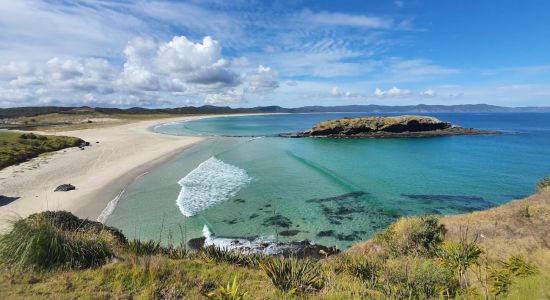 Maungapiko Beach