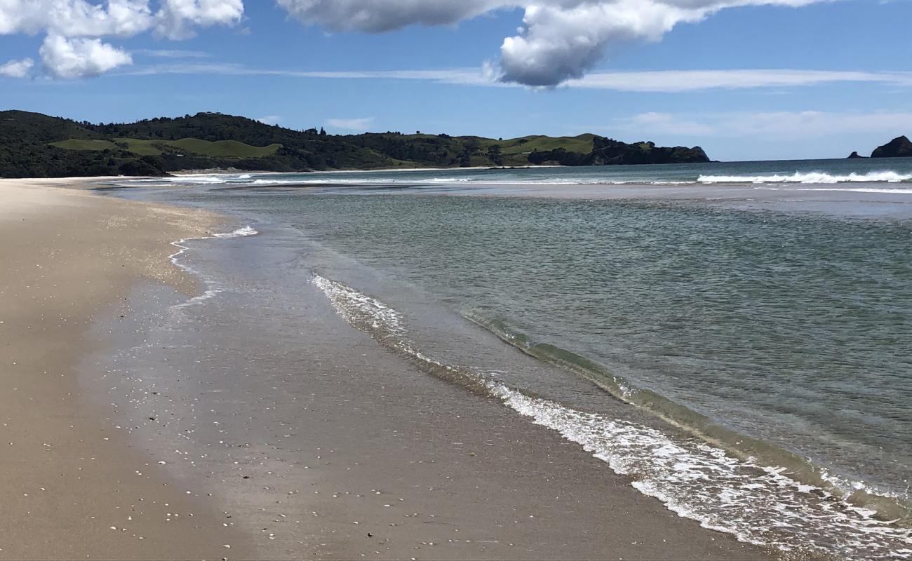 Kaitoke Beach'in fotoğrafı açık bej kum yüzey ile