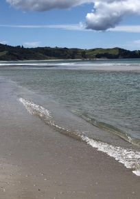 Great Barrier Island