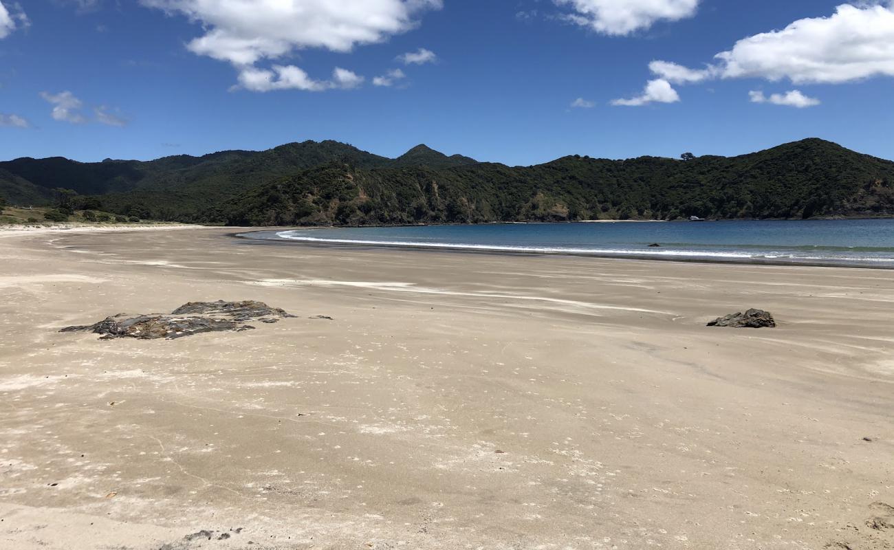 Harataonga Bay Beach'in fotoğrafı açık bej kum yüzey ile