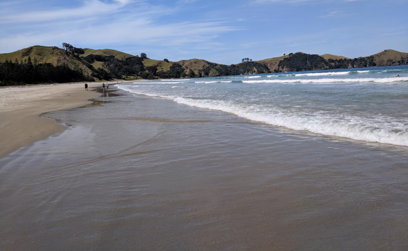 Whangapoua Bay'in fotoğrafı parlak kum yüzey ile