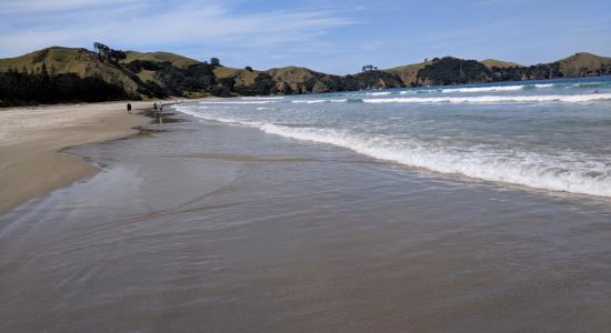 Whangapoua Bay