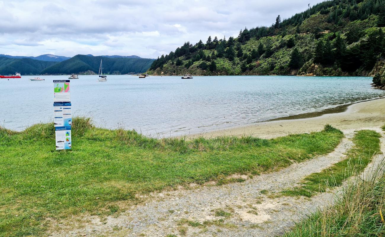 Oyster Bay Beach'in fotoğrafı çakıl ile kum yüzey ile