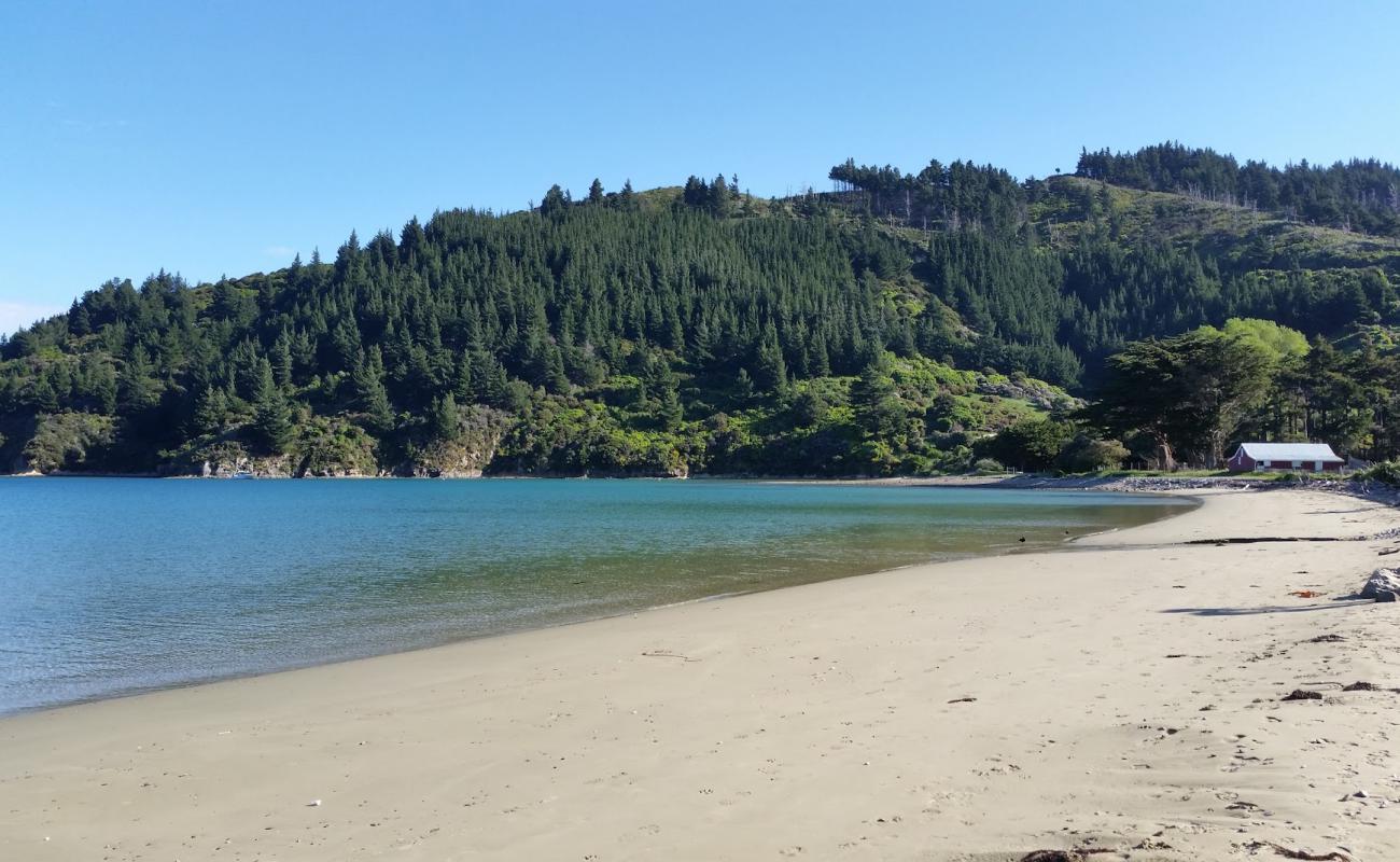 Ocean Bay Beach'in fotoğrafı hafif çakıl yüzey ile