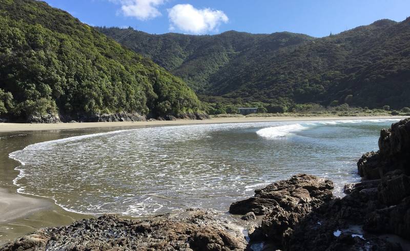 Whites Bay'in fotoğrafı parlak kum yüzey ile