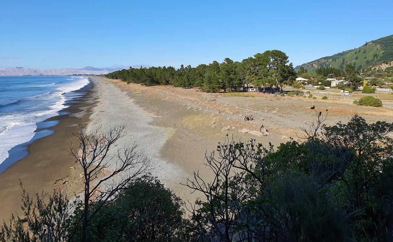 Rarangi Beach'in fotoğrafı gri çakıl taşı yüzey ile