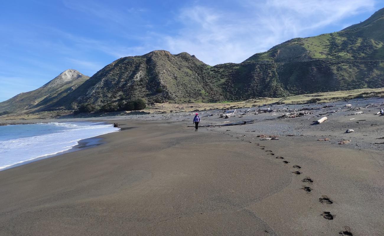 Ward Beach'in fotoğrafı gri ince çakıl taş yüzey ile