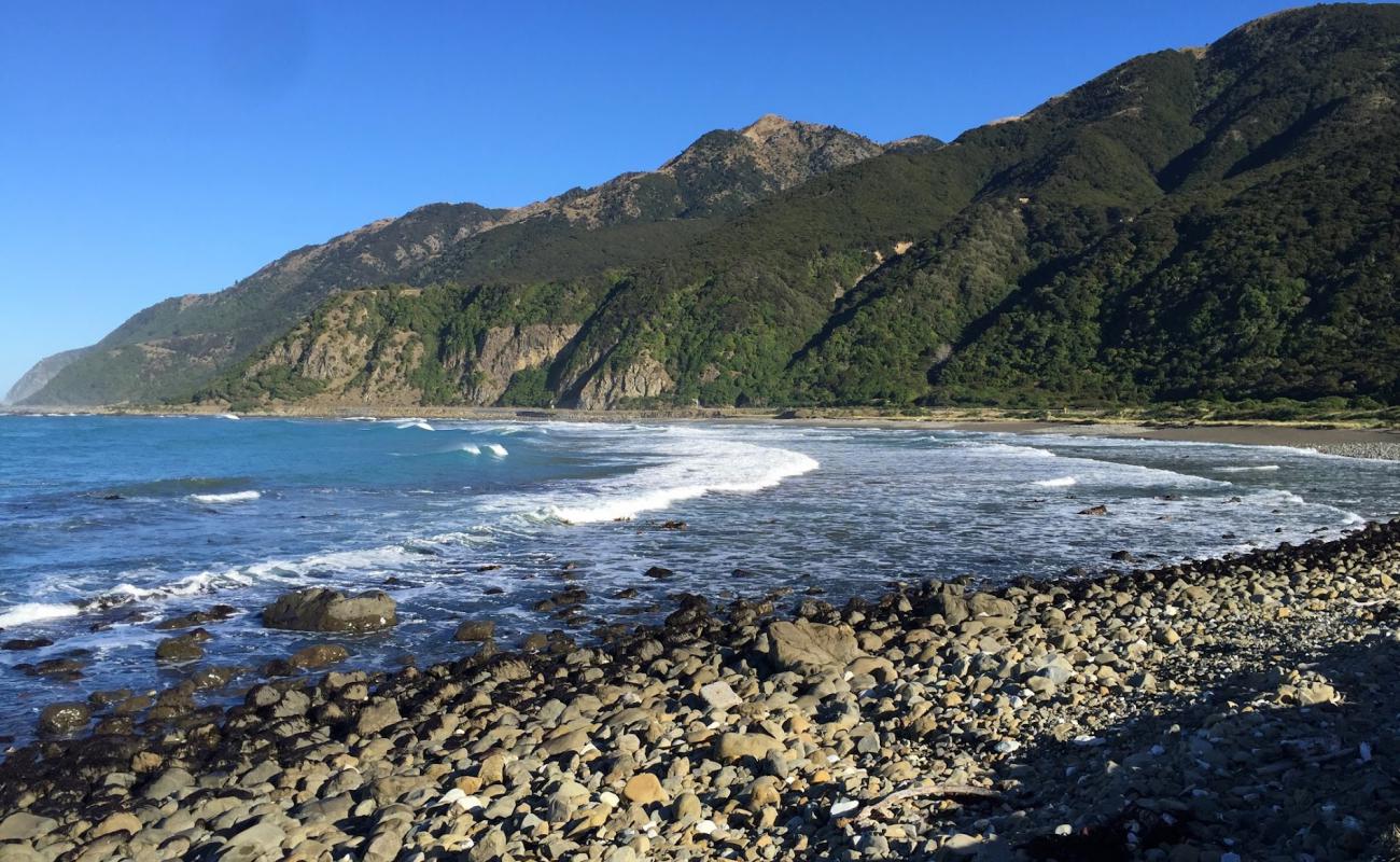 Okiwi Bay Beach'in fotoğrafı kayalık arazi yüzey ile