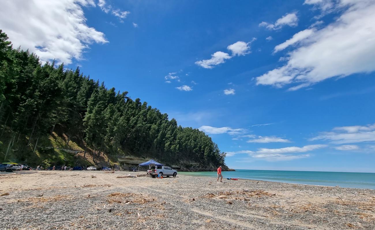 Teviotdale Beach'in fotoğrafı bej kum ve çakıl yüzey ile