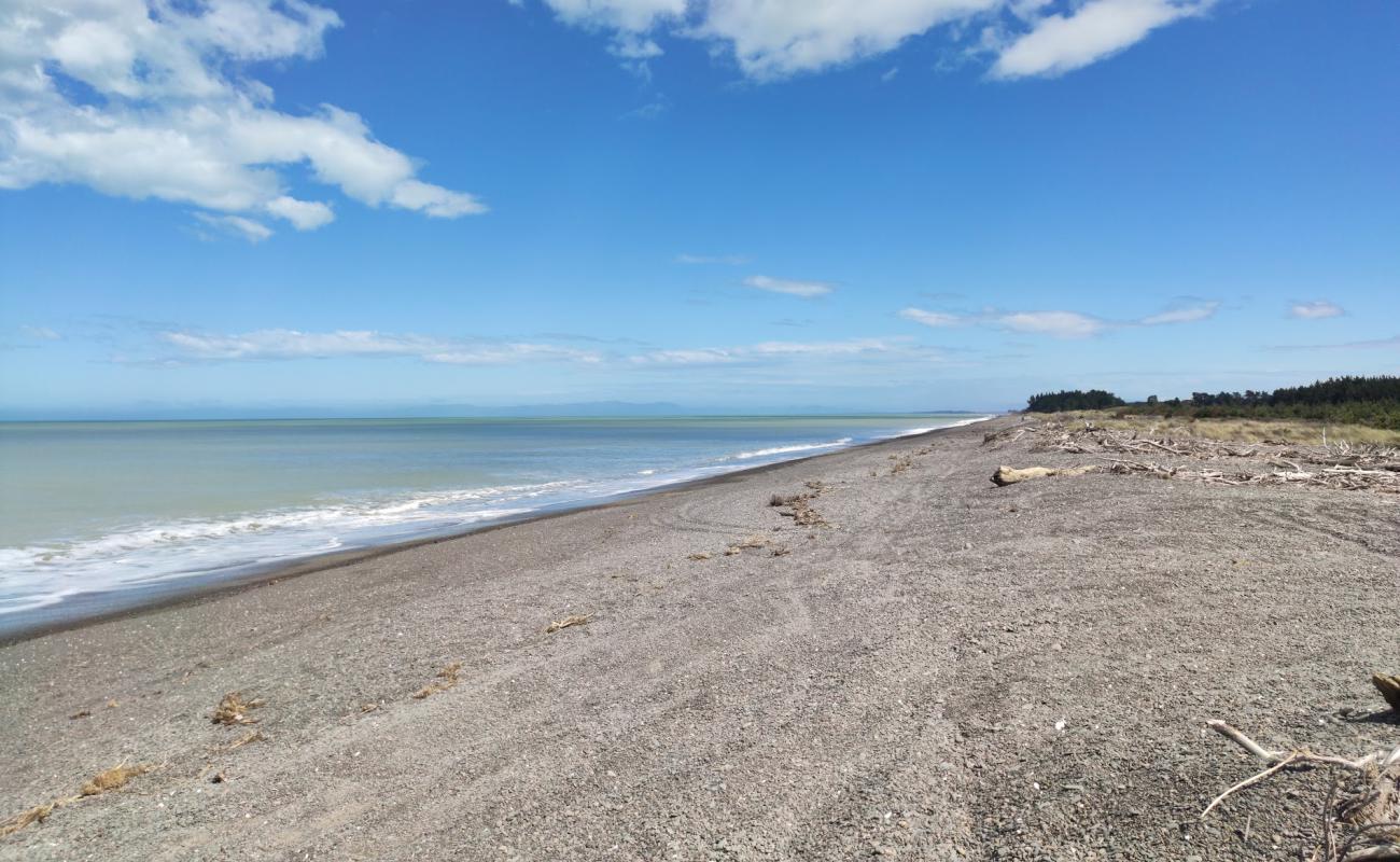 Leithfield Beach'in fotoğrafı siyah kum ve çakıllar yüzey ile