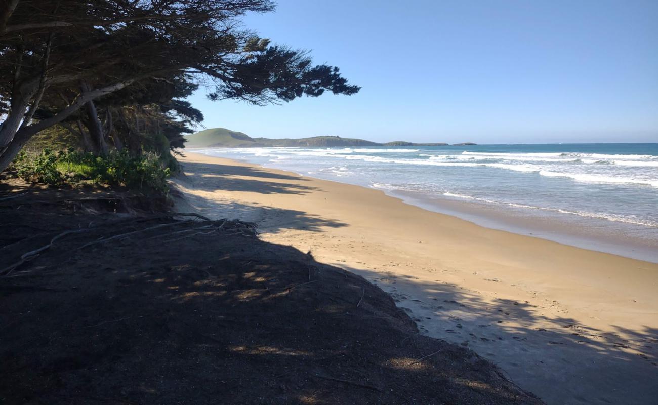 Katiki Beach'in fotoğrafı parlak kum yüzey ile