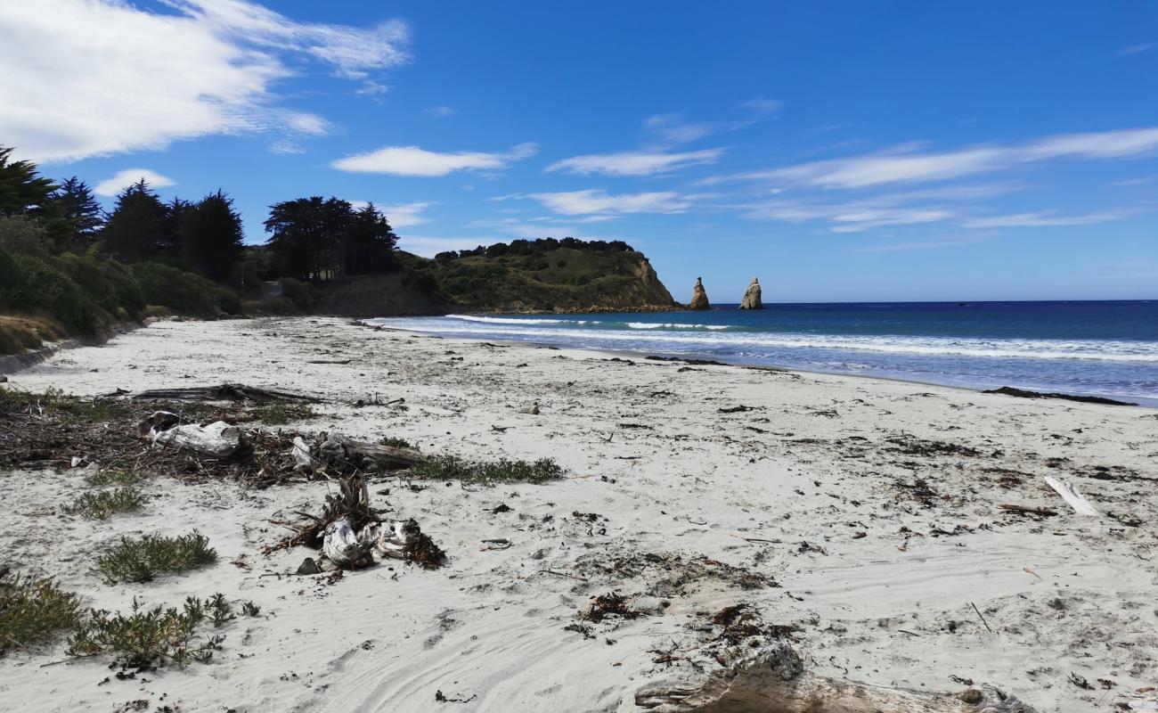 Karitane Beach'in fotoğrafı parlak kum yüzey ile