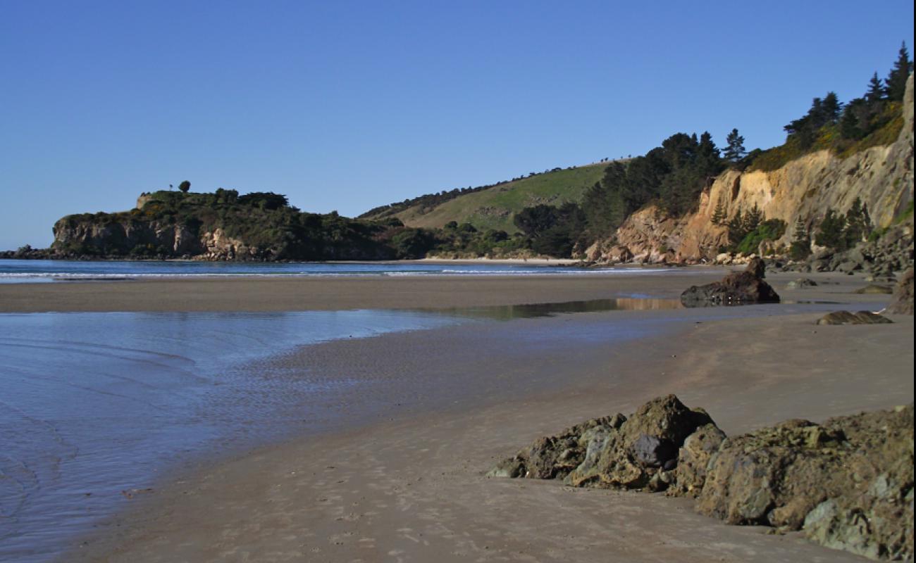 Purakaunui Beach'in fotoğrafı parlak kum yüzey ile