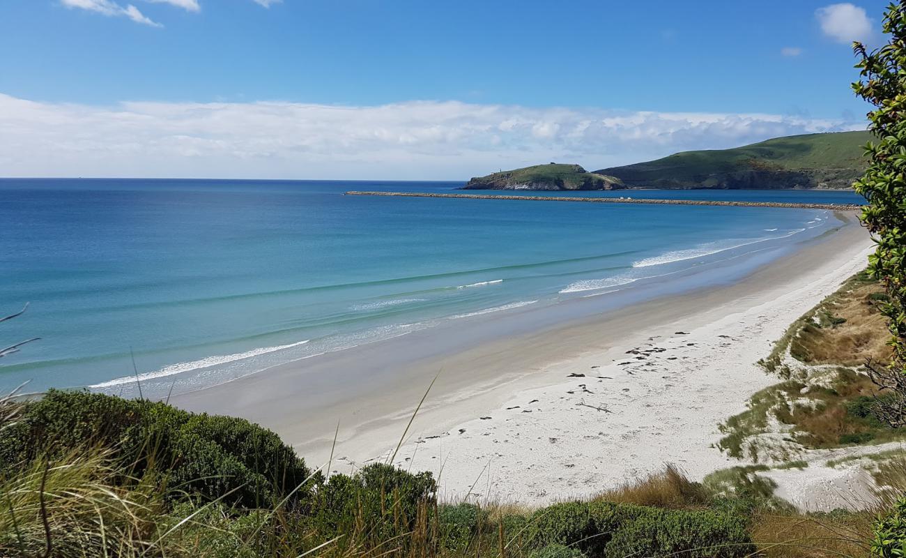 Aramoana Beach'in fotoğrafı parlak kum yüzey ile