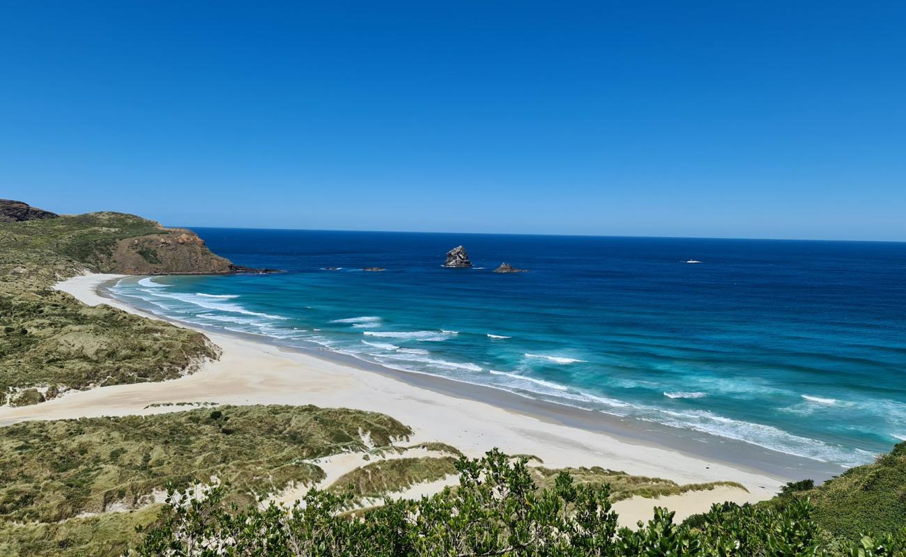 Sandfly Bay Beach'in fotoğrafı i̇nce bej kum yüzey ile
