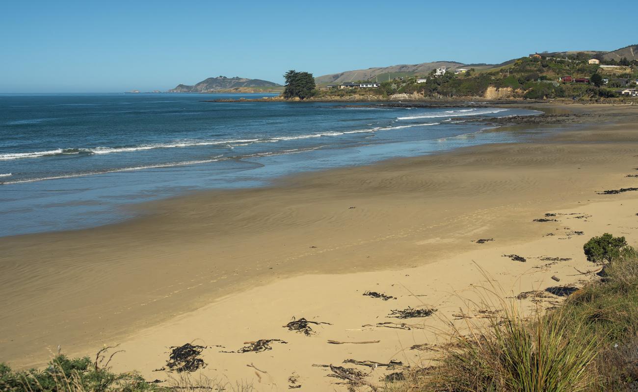 Kaka Point Beach'in fotoğrafı açık bej kum yüzey ile