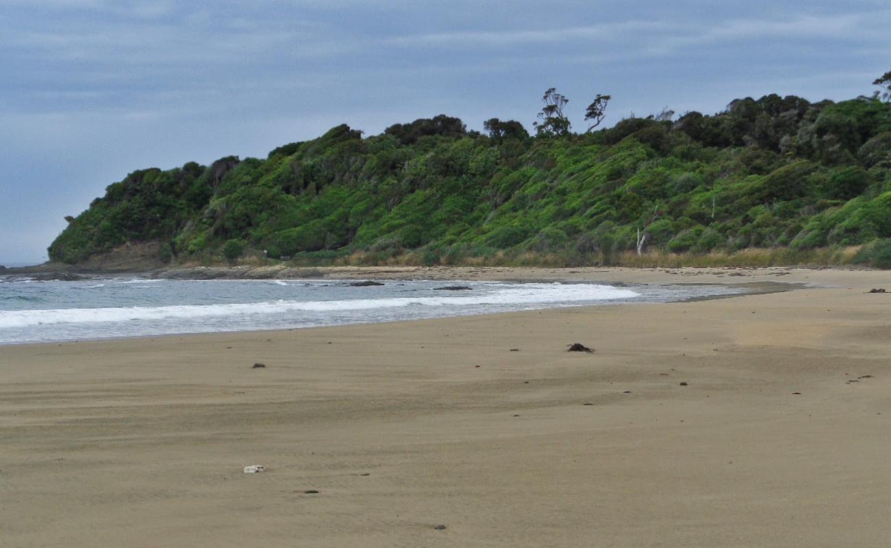 Tahakopa Beach'in fotoğrafı parlak kum yüzey ile