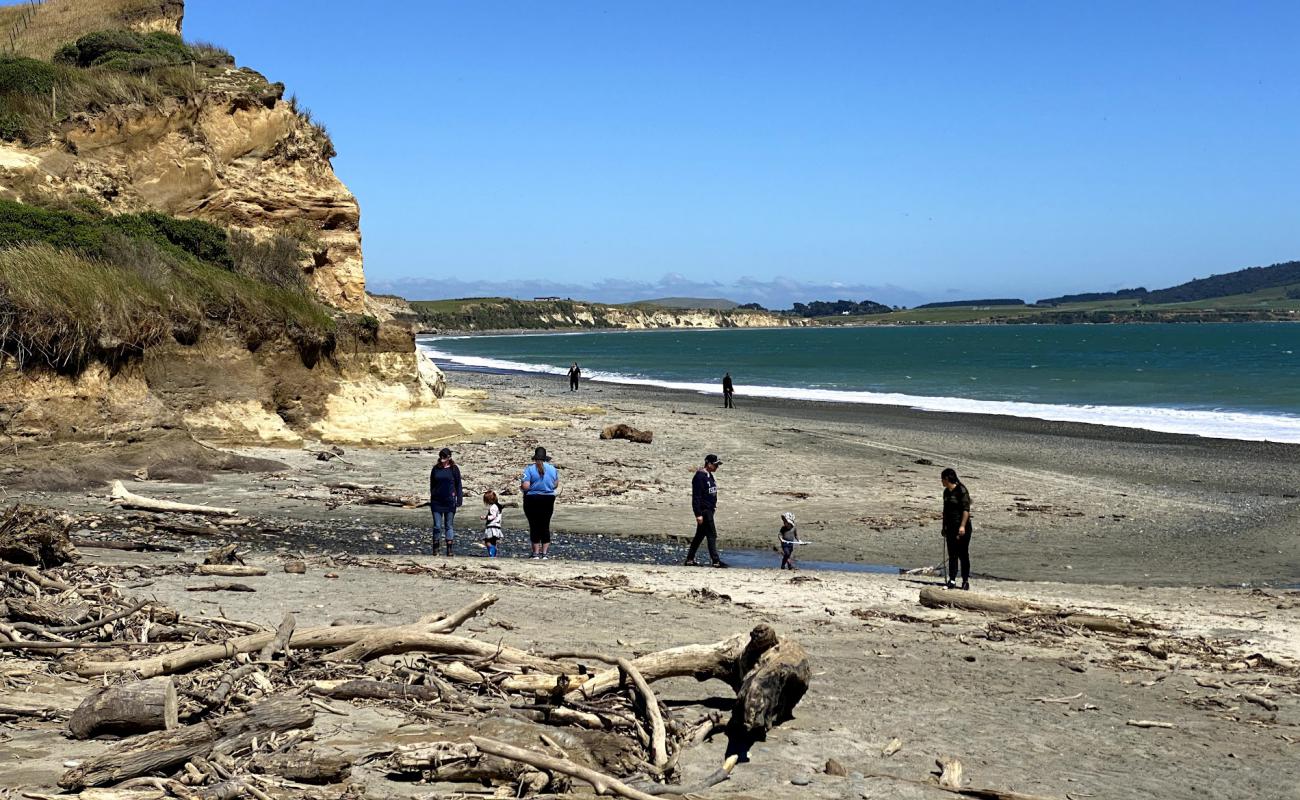 Gemstone Beach'in fotoğrafı bej çakıl yüzey ile