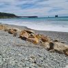 Rapahoe Bay Beach