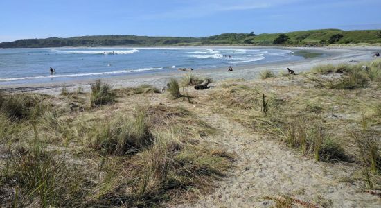 Tauranga Beach