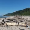 Mokihinui Beach